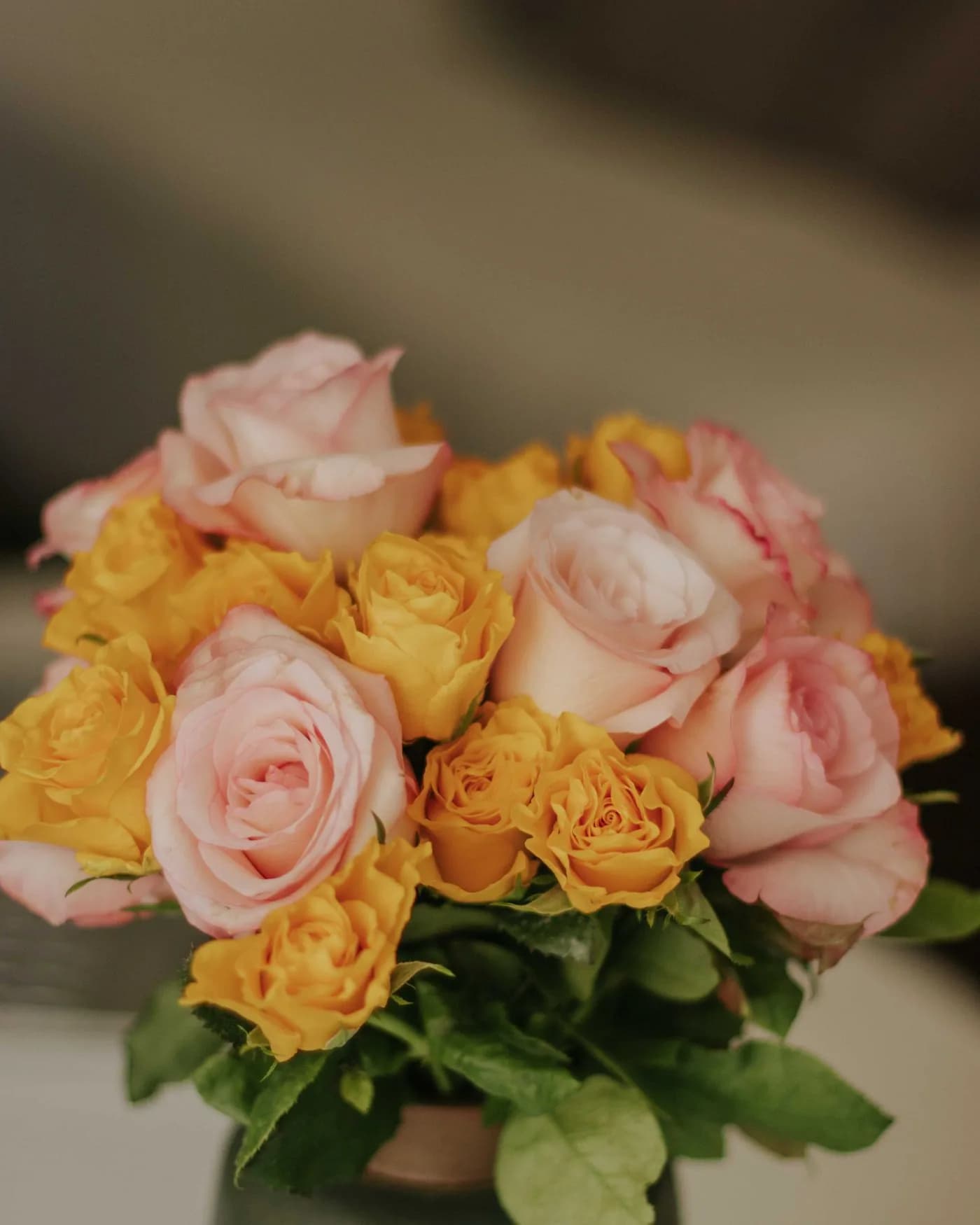 Mixed-Colour Roses 3