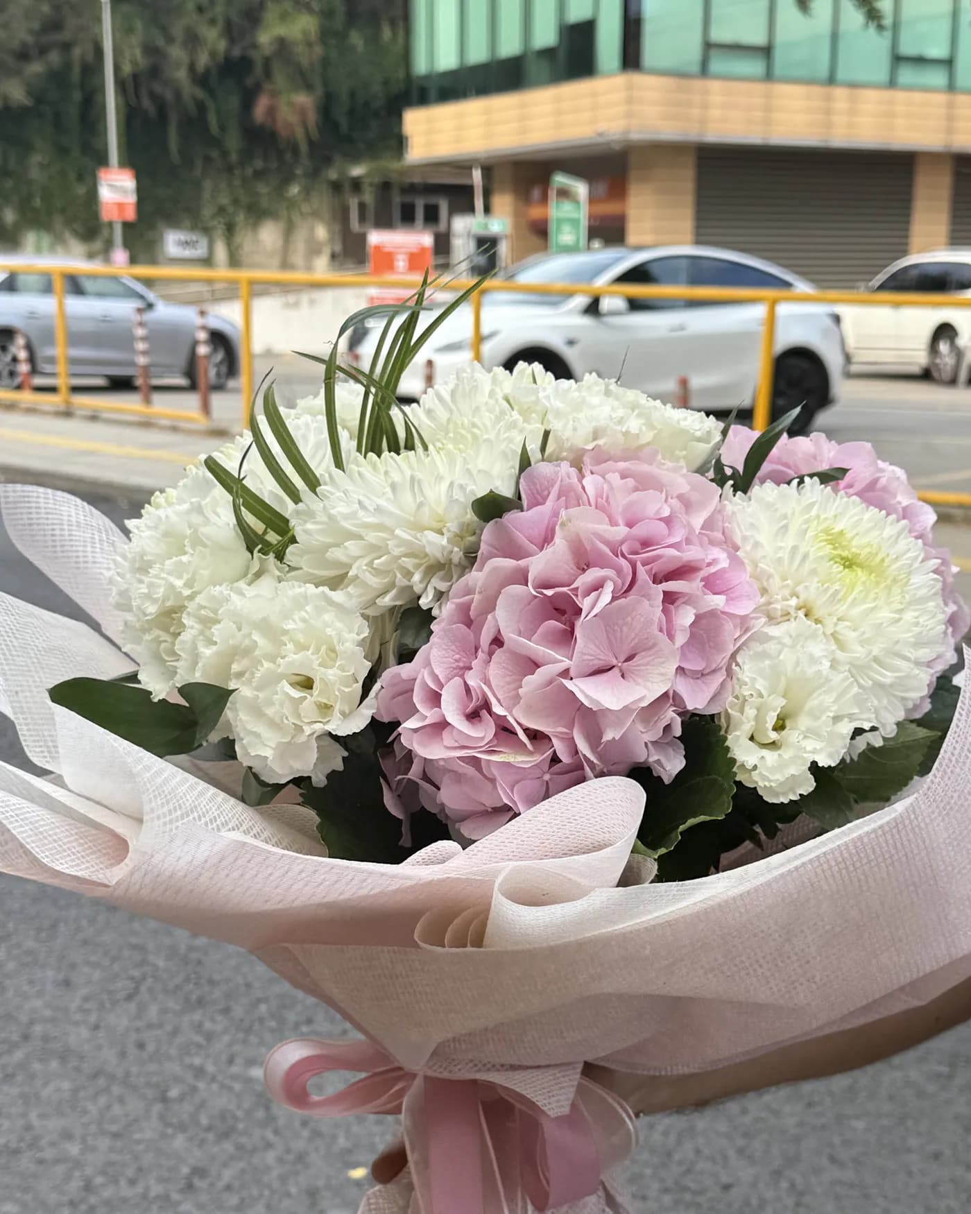 Pembe Ortanca & Kasımpatı