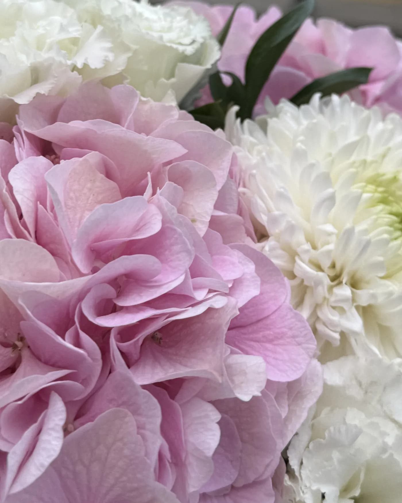 Pink Hydrangea & Chrysanthemums 6