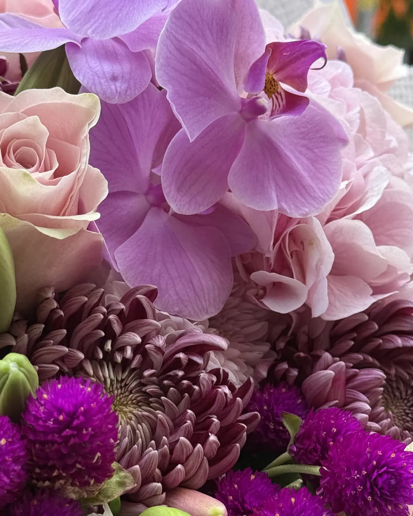 Orchid & Blush Roses 5
