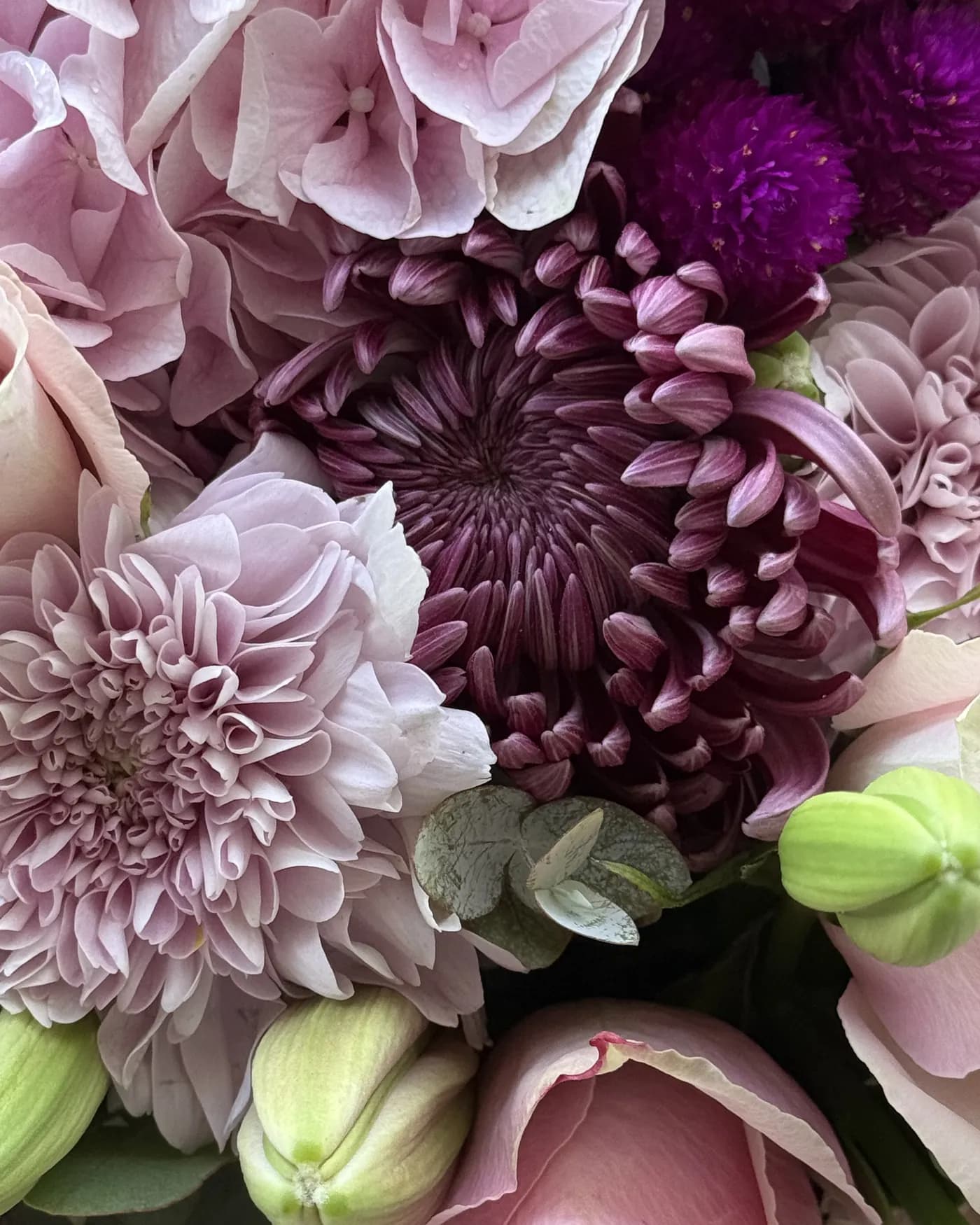 Orchid & Blush Roses 6
