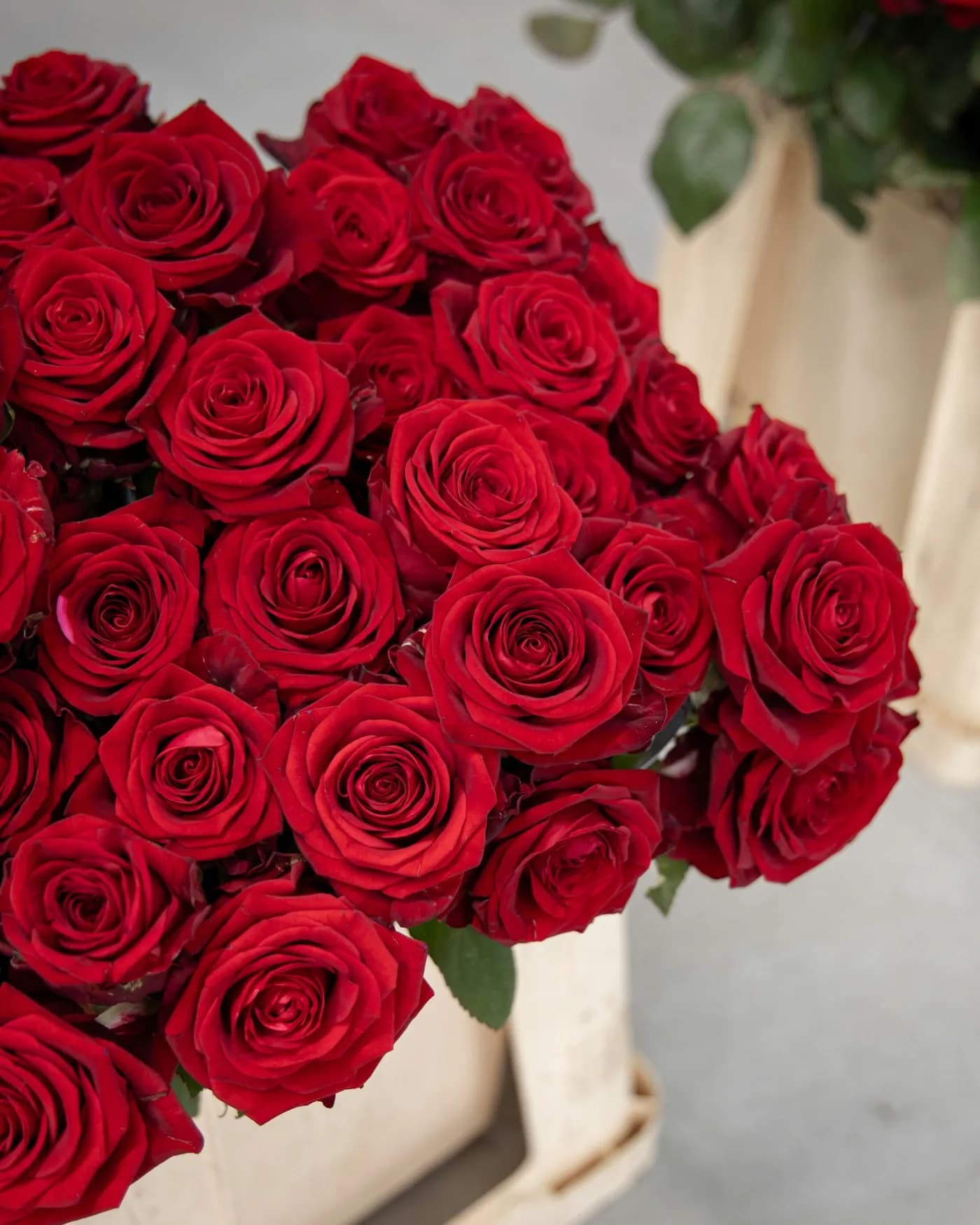 Red Roses in a Box 2